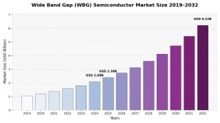 ���C�h�o���h�M���b�v�����̎s���2025�N��23��8000���ăh�����L�^�A�͋����������ʂ�