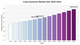 �_�앨�ی��s���2025�N��480��1000���ăh�����L�^���A���肵���������ʂ�