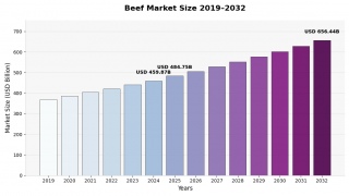 �����s���2025�N��4,847��5,000���ăh�����L�^���A���肵���������ʂ�